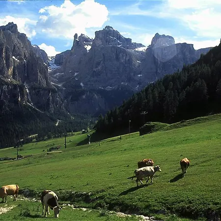 Panorama 4*